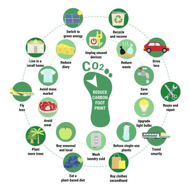 2025 Guide Reveals How You Can Reduce Your Carbon Footprint