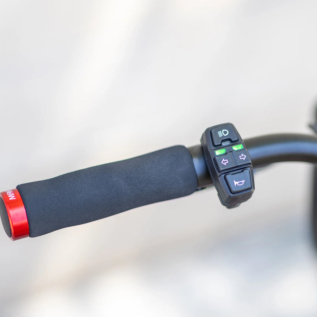 Powerful Mantis 8 Dual Motor scooter